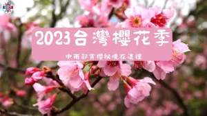 2023台灣櫻花季