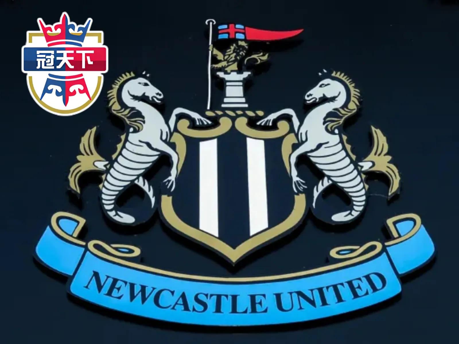 紐卡斯爾聯隊 紐卡斯聯 英超 Farhad Moshiri